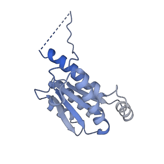 11633_7a4h_KG_v1-2
Aquifex aeolicus lumazine synthase-derived nucleocapsid variant NC-2 (180-mer)