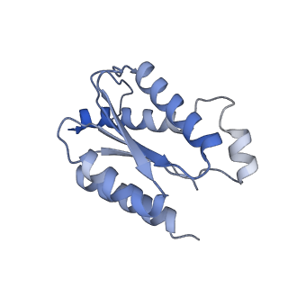 11633_7a4h_KH_v1-2
Aquifex aeolicus lumazine synthase-derived nucleocapsid variant NC-2 (180-mer)
