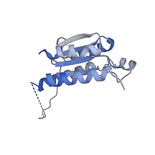 11633_7a4h_KI_v1-2
Aquifex aeolicus lumazine synthase-derived nucleocapsid variant NC-2 (180-mer)
