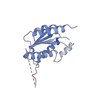11633_7a4h_KJ_v1-2
Aquifex aeolicus lumazine synthase-derived nucleocapsid variant NC-2 (180-mer)
