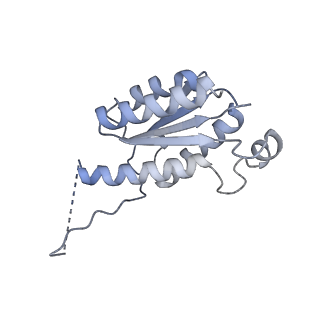 11633_7a4h_KK_v1-2
Aquifex aeolicus lumazine synthase-derived nucleocapsid variant NC-2 (180-mer)