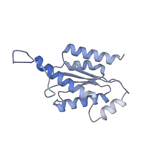 11633_7a4h_KL_v1-2
Aquifex aeolicus lumazine synthase-derived nucleocapsid variant NC-2 (180-mer)