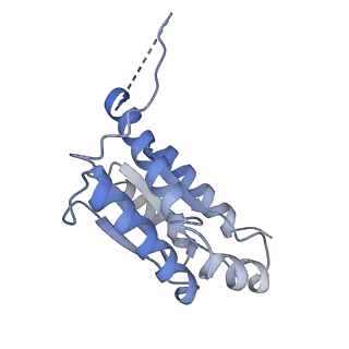 11633_7a4h_KM_v1-2
Aquifex aeolicus lumazine synthase-derived nucleocapsid variant NC-2 (180-mer)