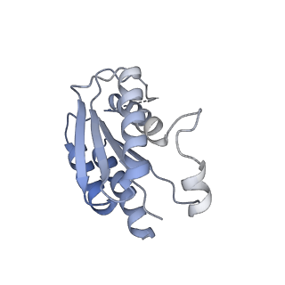 11633_7a4h_KN_v1-2
Aquifex aeolicus lumazine synthase-derived nucleocapsid variant NC-2 (180-mer)