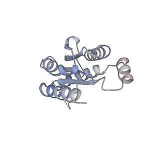 11633_7a4h_KO_v1-2
Aquifex aeolicus lumazine synthase-derived nucleocapsid variant NC-2 (180-mer)
