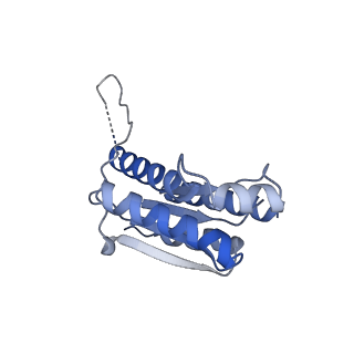 11633_7a4h_LA_v1-2
Aquifex aeolicus lumazine synthase-derived nucleocapsid variant NC-2 (180-mer)