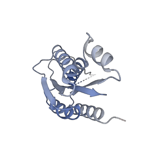 11633_7a4h_LB_v1-2
Aquifex aeolicus lumazine synthase-derived nucleocapsid variant NC-2 (180-mer)