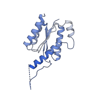 11633_7a4h_LD_v1-2
Aquifex aeolicus lumazine synthase-derived nucleocapsid variant NC-2 (180-mer)