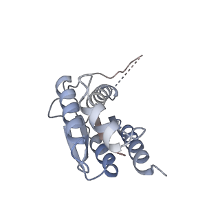 11633_7a4h_LF_v1-2
Aquifex aeolicus lumazine synthase-derived nucleocapsid variant NC-2 (180-mer)