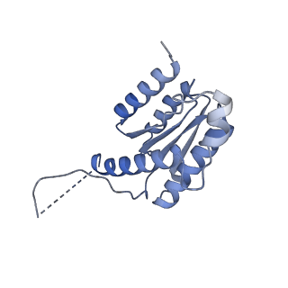 11633_7a4h_LI_v1-2
Aquifex aeolicus lumazine synthase-derived nucleocapsid variant NC-2 (180-mer)