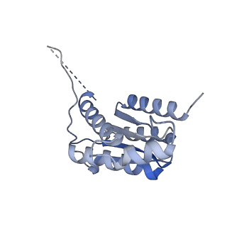 11633_7a4h_LJ_v1-2
Aquifex aeolicus lumazine synthase-derived nucleocapsid variant NC-2 (180-mer)