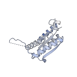 11633_7a4h_LK_v1-2
Aquifex aeolicus lumazine synthase-derived nucleocapsid variant NC-2 (180-mer)