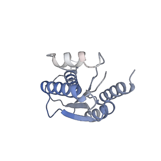11633_7a4h_LL_v1-2
Aquifex aeolicus lumazine synthase-derived nucleocapsid variant NC-2 (180-mer)