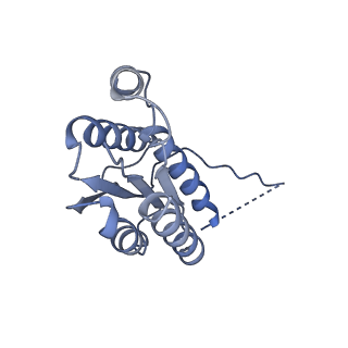 11633_7a4h_LM_v1-2
Aquifex aeolicus lumazine synthase-derived nucleocapsid variant NC-2 (180-mer)