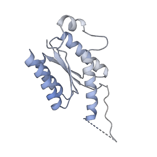 11633_7a4h_LN_v1-2
Aquifex aeolicus lumazine synthase-derived nucleocapsid variant NC-2 (180-mer)