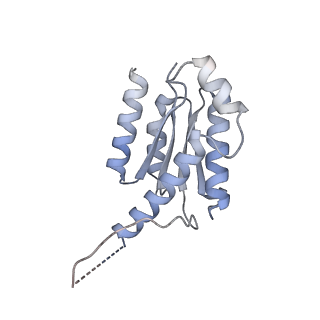 11633_7a4h_LO_v1-2
Aquifex aeolicus lumazine synthase-derived nucleocapsid variant NC-2 (180-mer)
