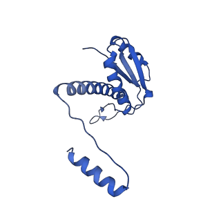 11635_7a4j_0A_v1-2
Aquifex aeolicus lumazine synthase-derived nucleocapsid variant NC-4