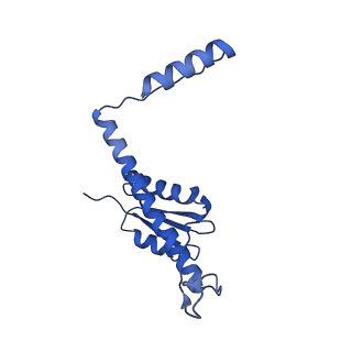11635_7a4j_0B_v1-2
Aquifex aeolicus lumazine synthase-derived nucleocapsid variant NC-4