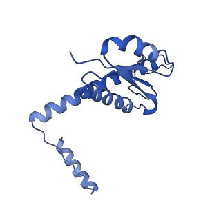 11635_7a4j_0C_v1-2
Aquifex aeolicus lumazine synthase-derived nucleocapsid variant NC-4
