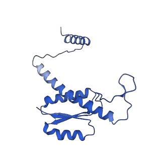 11635_7a4j_0D_v1-2
Aquifex aeolicus lumazine synthase-derived nucleocapsid variant NC-4