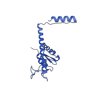 11635_7a4j_1A_v1-2
Aquifex aeolicus lumazine synthase-derived nucleocapsid variant NC-4
