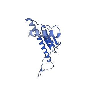 11635_7a4j_1C_v1-2
Aquifex aeolicus lumazine synthase-derived nucleocapsid variant NC-4