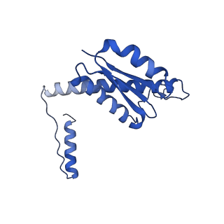 11635_7a4j_1D_v1-2
Aquifex aeolicus lumazine synthase-derived nucleocapsid variant NC-4