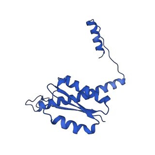 11635_7a4j_2A_v1-2
Aquifex aeolicus lumazine synthase-derived nucleocapsid variant NC-4
