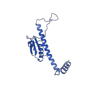 11635_7a4j_2B_v1-2
Aquifex aeolicus lumazine synthase-derived nucleocapsid variant NC-4