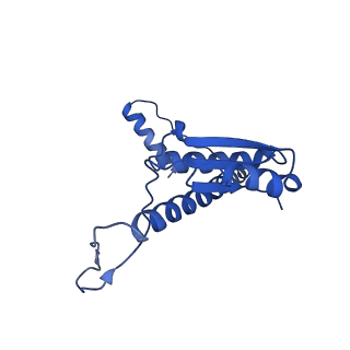 11635_7a4j_2C_v1-2
Aquifex aeolicus lumazine synthase-derived nucleocapsid variant NC-4