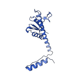 11635_7a4j_2D_v1-2
Aquifex aeolicus lumazine synthase-derived nucleocapsid variant NC-4