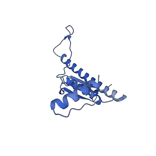 11635_7a4j_3A_v1-2
Aquifex aeolicus lumazine synthase-derived nucleocapsid variant NC-4