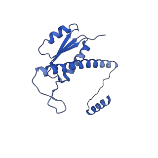 11635_7a4j_3B_v1-2
Aquifex aeolicus lumazine synthase-derived nucleocapsid variant NC-4