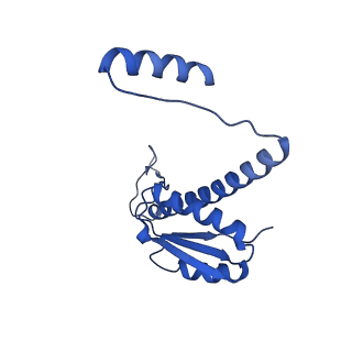 11635_7a4j_3C_v1-2
Aquifex aeolicus lumazine synthase-derived nucleocapsid variant NC-4
