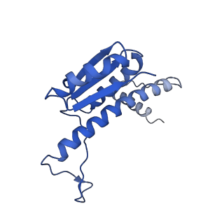 11635_7a4j_3D_v1-2
Aquifex aeolicus lumazine synthase-derived nucleocapsid variant NC-4