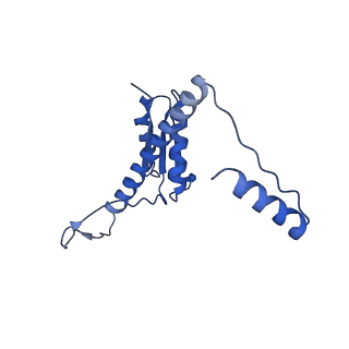 11635_7a4j_4A_v1-2
Aquifex aeolicus lumazine synthase-derived nucleocapsid variant NC-4
