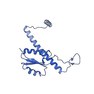 11635_7a4j_4B_v1-2
Aquifex aeolicus lumazine synthase-derived nucleocapsid variant NC-4