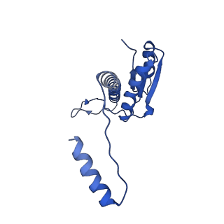 11635_7a4j_4C_v1-2
Aquifex aeolicus lumazine synthase-derived nucleocapsid variant NC-4