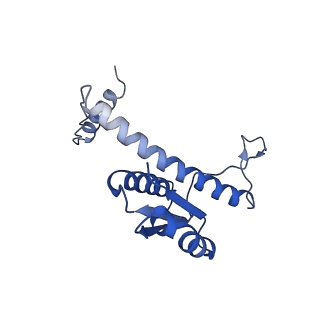 11635_7a4j_4D_v1-2
Aquifex aeolicus lumazine synthase-derived nucleocapsid variant NC-4