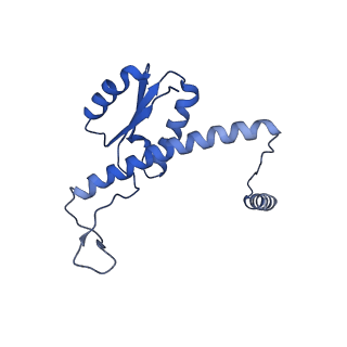 11635_7a4j_5A_v1-2
Aquifex aeolicus lumazine synthase-derived nucleocapsid variant NC-4