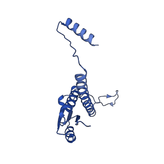 11635_7a4j_5B_v1-2
Aquifex aeolicus lumazine synthase-derived nucleocapsid variant NC-4