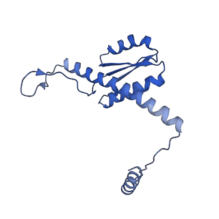 11635_7a4j_5C_v1-2
Aquifex aeolicus lumazine synthase-derived nucleocapsid variant NC-4