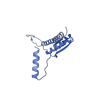 11635_7a4j_6A_v1-2
Aquifex aeolicus lumazine synthase-derived nucleocapsid variant NC-4
