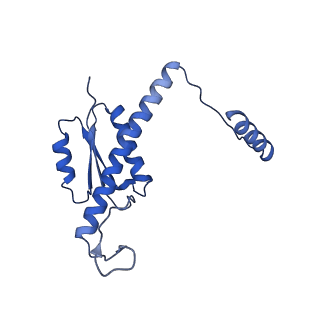 11635_7a4j_6B_v1-2
Aquifex aeolicus lumazine synthase-derived nucleocapsid variant NC-4