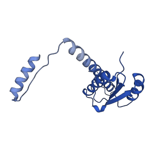 11635_7a4j_6C_v1-2
Aquifex aeolicus lumazine synthase-derived nucleocapsid variant NC-4