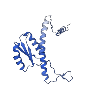 11635_7a4j_6D_v1-2
Aquifex aeolicus lumazine synthase-derived nucleocapsid variant NC-4