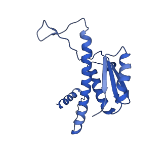 11635_7a4j_7A_v1-2
Aquifex aeolicus lumazine synthase-derived nucleocapsid variant NC-4