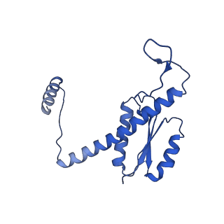 11635_7a4j_7C_v1-2
Aquifex aeolicus lumazine synthase-derived nucleocapsid variant NC-4