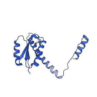 11635_7a4j_AA_v1-2
Aquifex aeolicus lumazine synthase-derived nucleocapsid variant NC-4