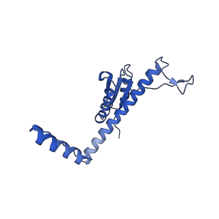 11635_7a4j_AB_v1-2
Aquifex aeolicus lumazine synthase-derived nucleocapsid variant NC-4